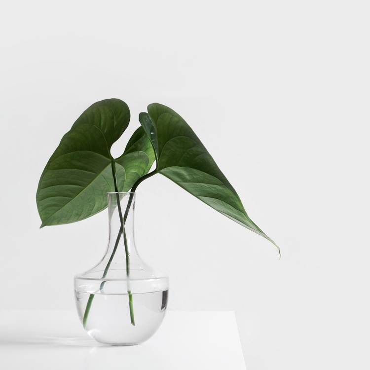 Il regolamento ECODESIGN